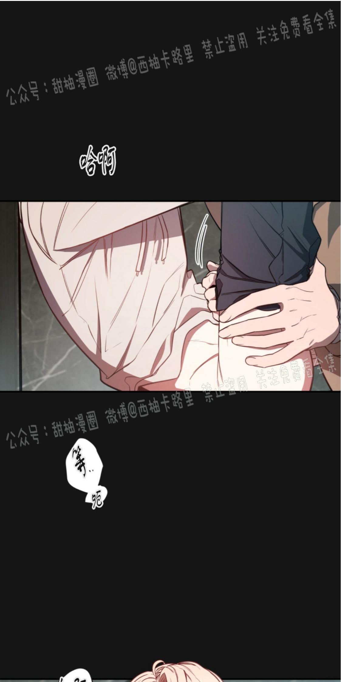 大苹果/纽约城[耽美]韩漫全集-第8话无删减无遮挡章节图片 