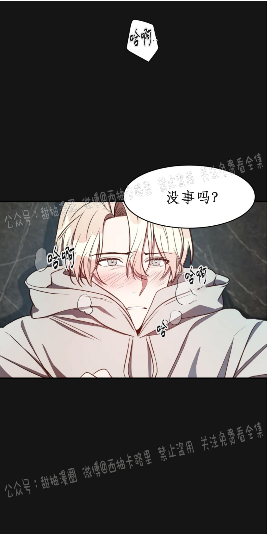 大苹果/纽约城[耽美]韩漫全集-第8话无删减无遮挡章节图片 