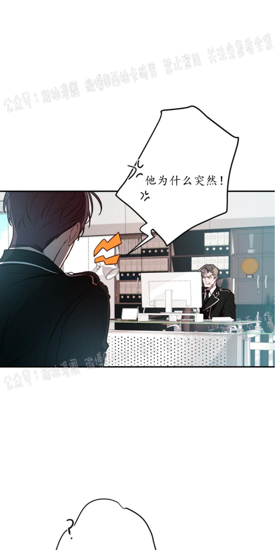 大苹果/纽约城[耽美]韩漫全集-第9话无删减无遮挡章节图片 