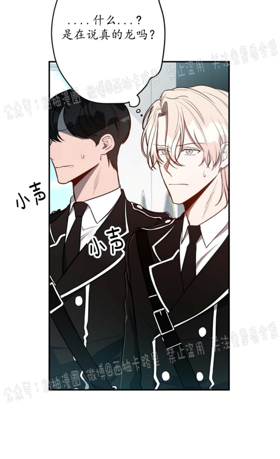 大苹果/纽约城[耽美]韩漫全集-第9话无删减无遮挡章节图片 