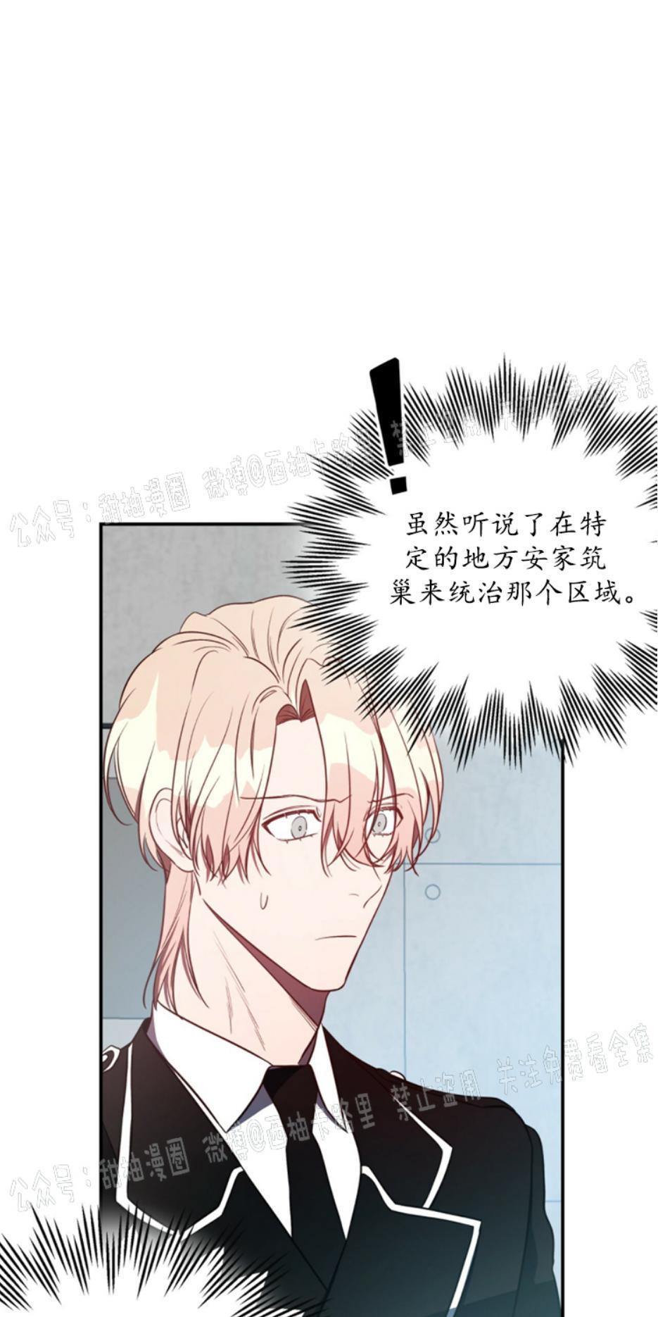 大苹果/纽约城[耽美]韩漫全集-第9话无删减无遮挡章节图片 