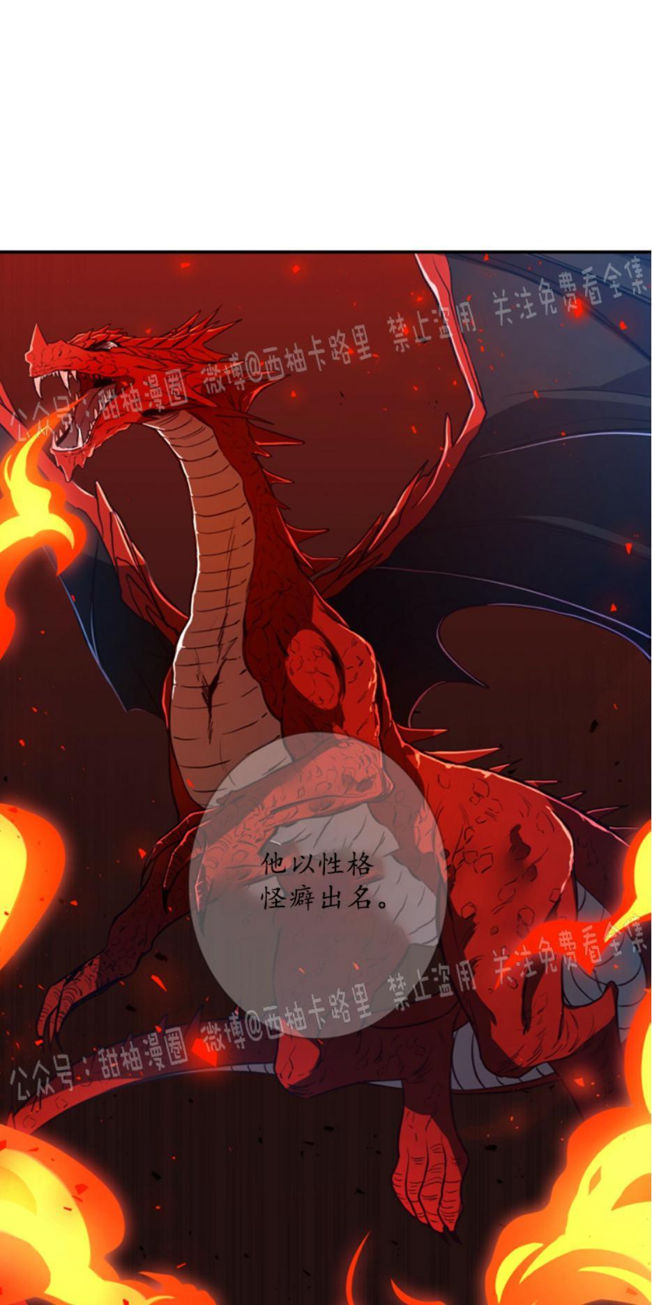 大苹果/纽约城[耽美]韩漫全集-第9话无删减无遮挡章节图片 