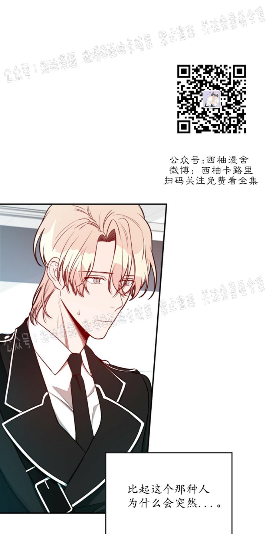 大苹果/纽约城[耽美]韩漫全集-第9话无删减无遮挡章节图片 