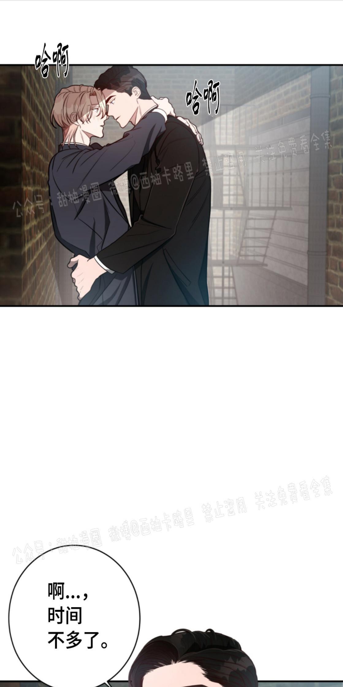大苹果/纽约城[耽美]韩漫全集-第11话无删减无遮挡章节图片 