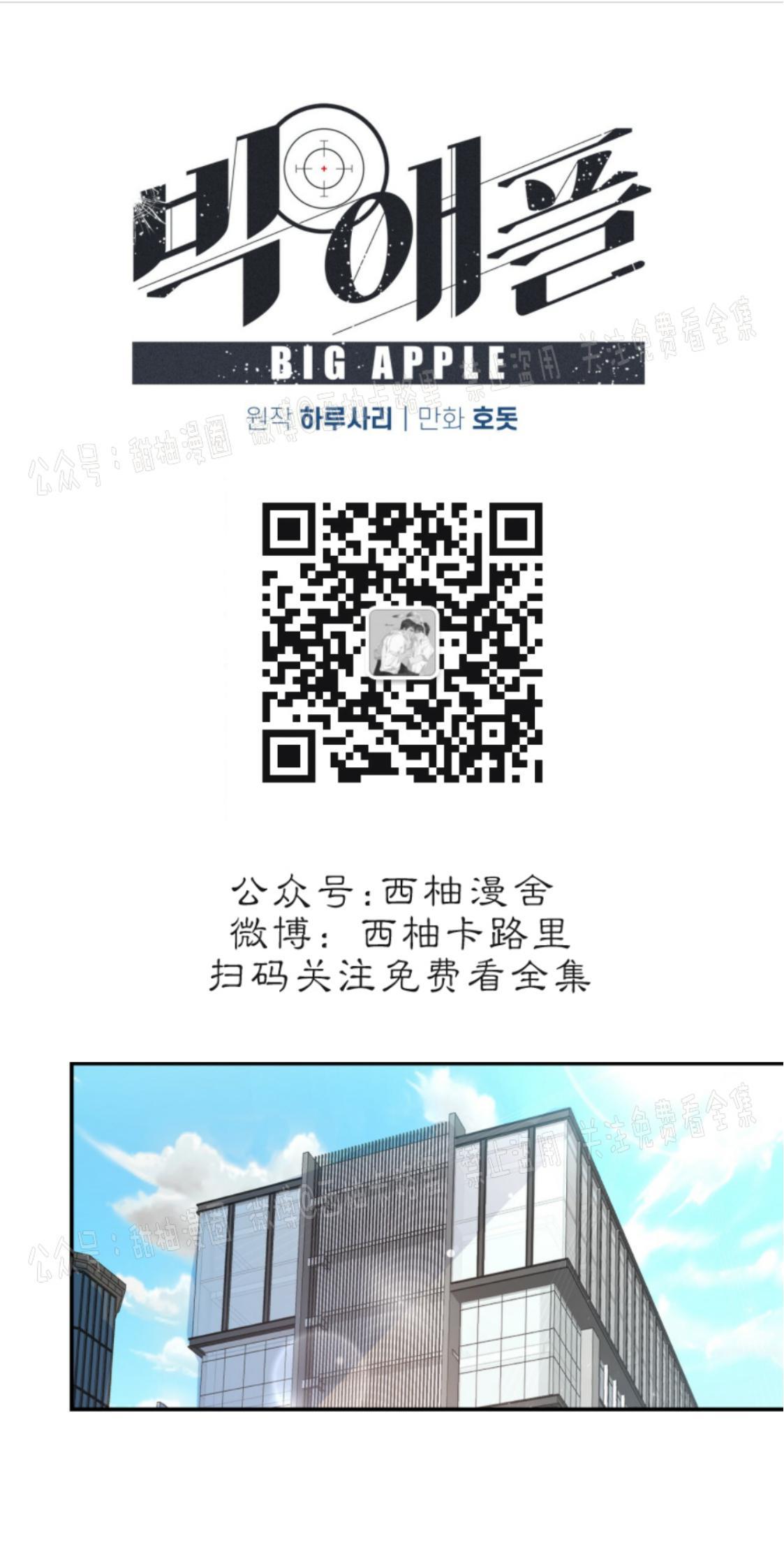 大苹果/纽约城[耽美]韩漫全集-第11话无删减无遮挡章节图片 
