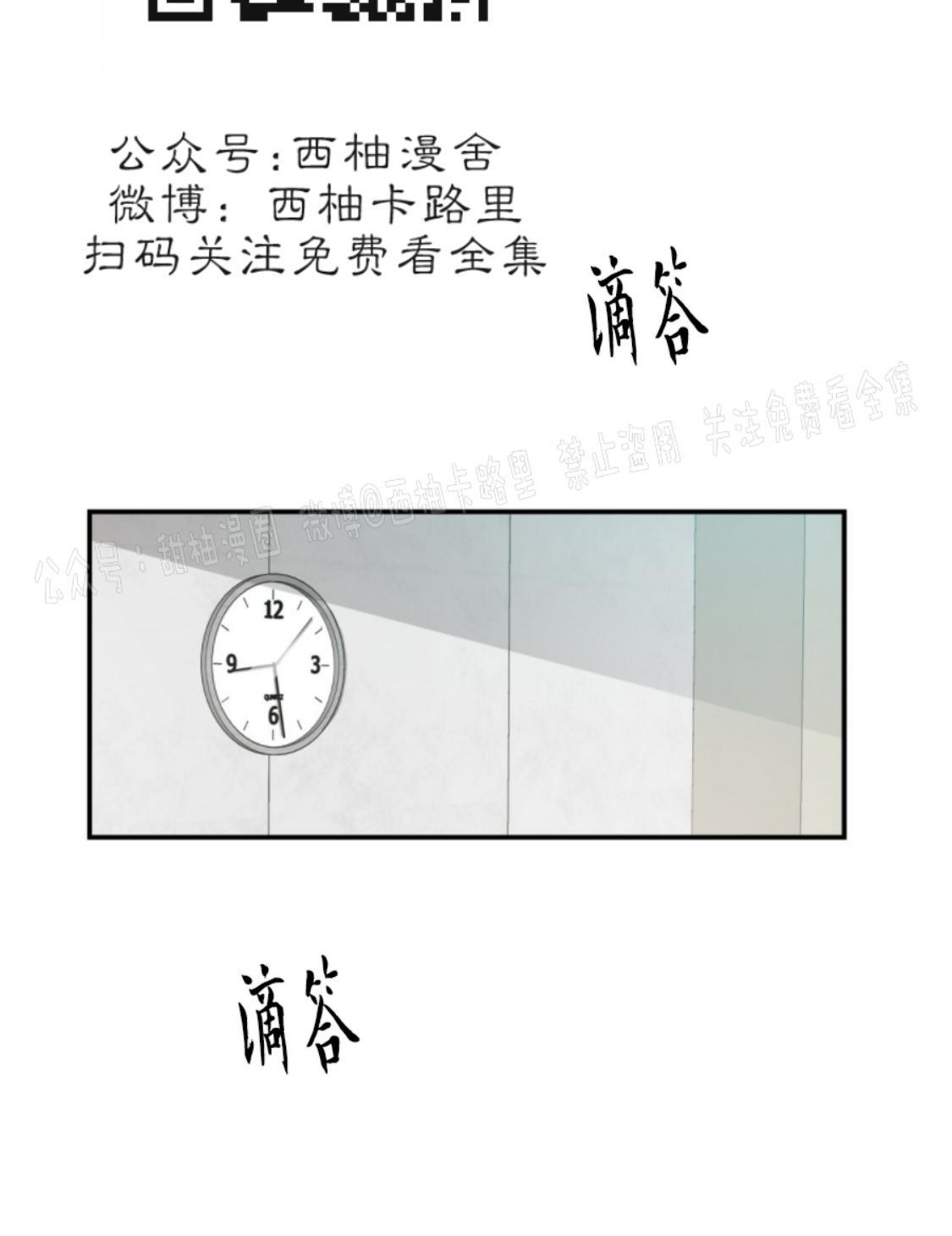 大苹果/纽约城[耽美]韩漫全集-第11话无删减无遮挡章节图片 