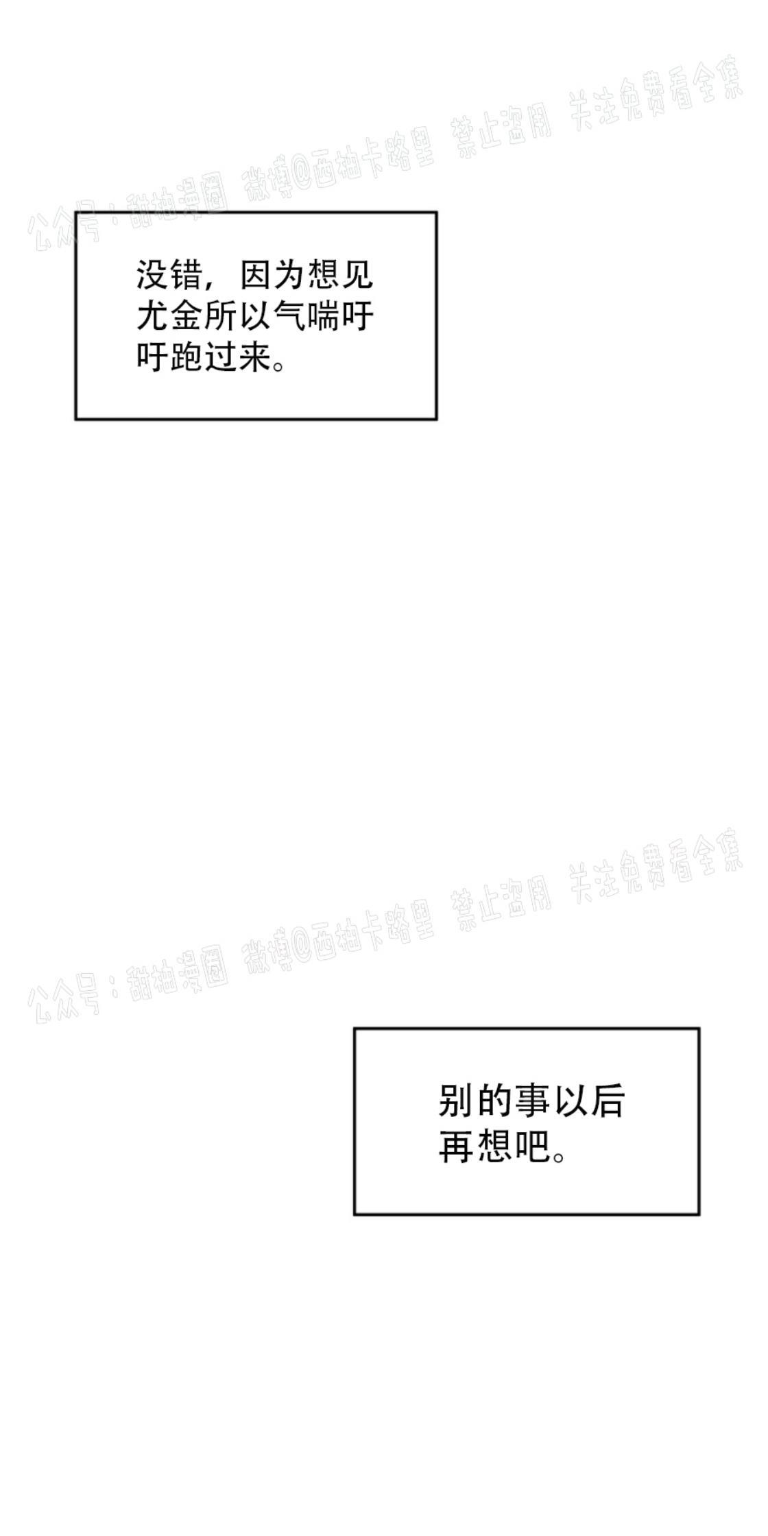 大苹果/纽约城[耽美]韩漫全集-第12话无删减无遮挡章节图片 