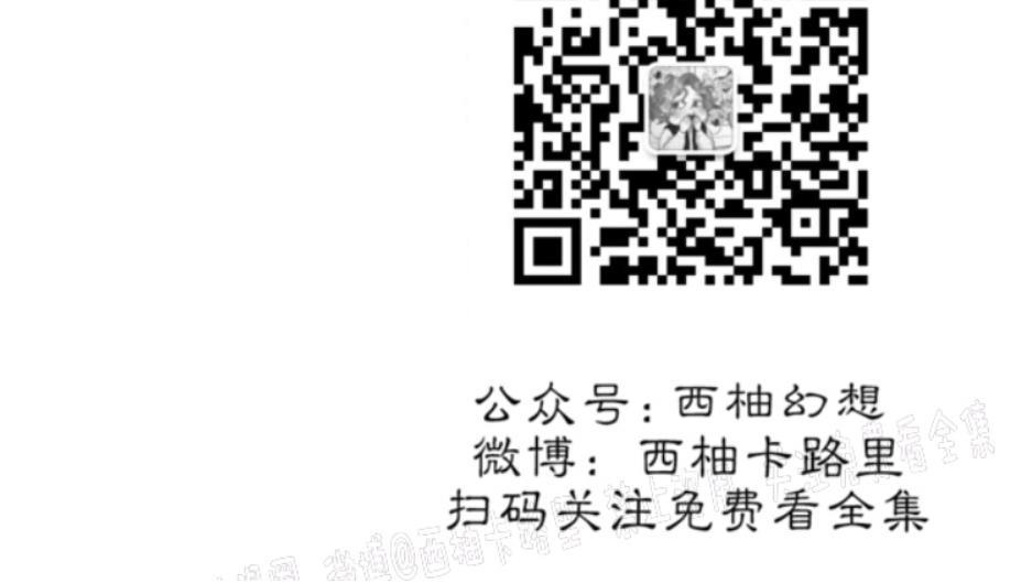 大苹果/纽约城[耽美]韩漫全集-第13话无删减无遮挡章节图片 