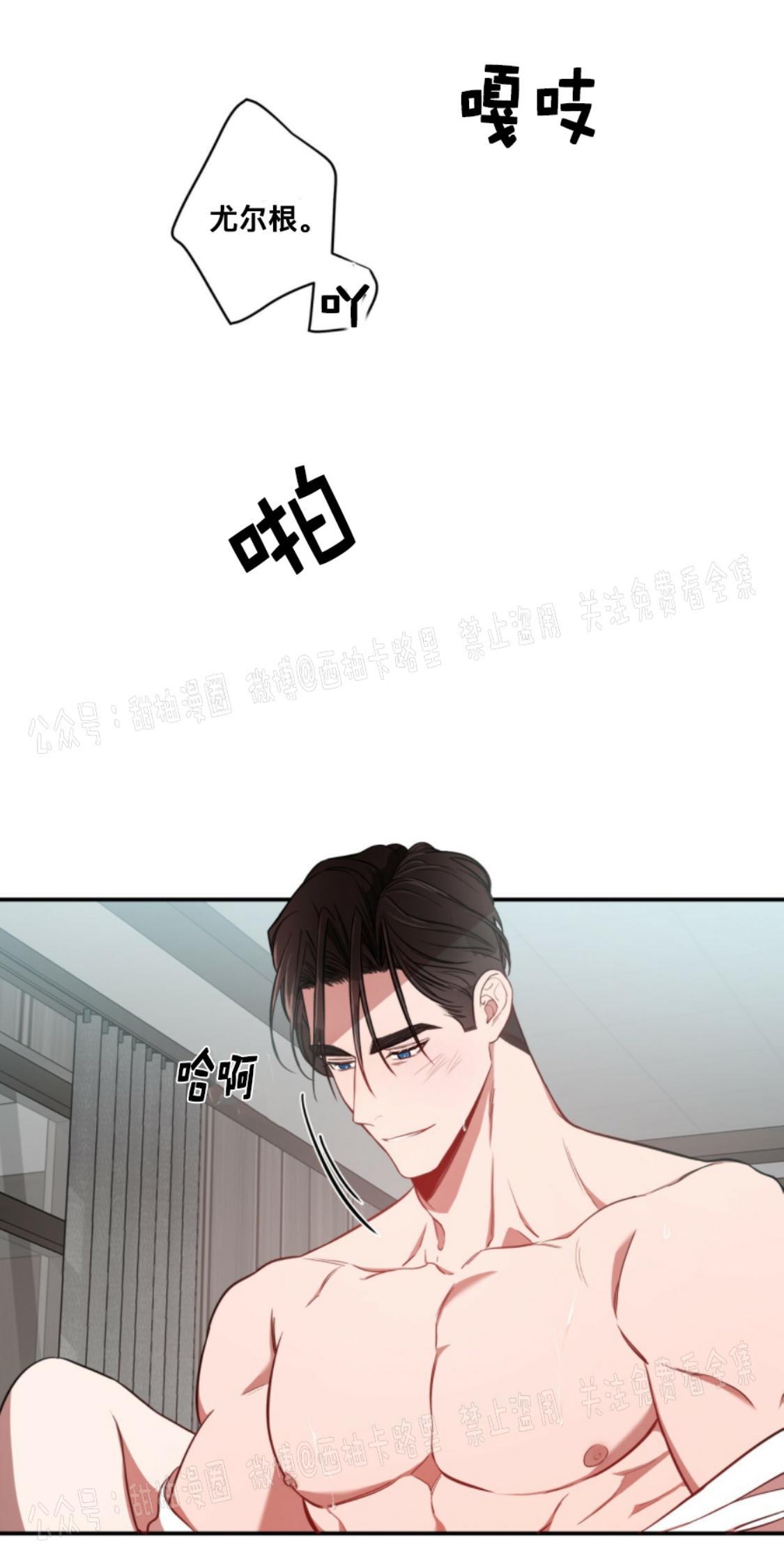 大苹果/纽约城[耽美]韩漫全集-第13话无删减无遮挡章节图片 