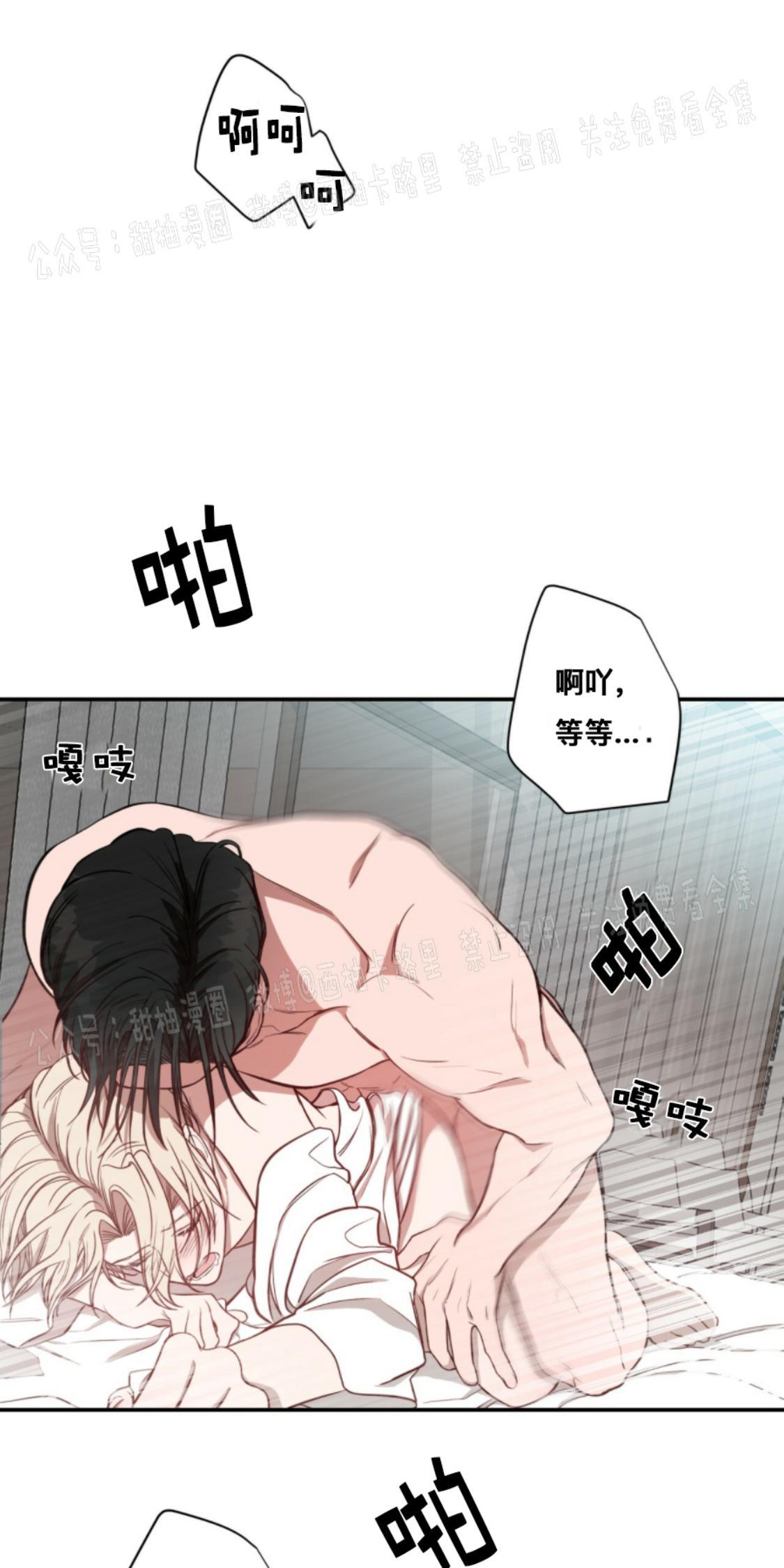 大苹果/纽约城[耽美]韩漫全集-第13话无删减无遮挡章节图片 
