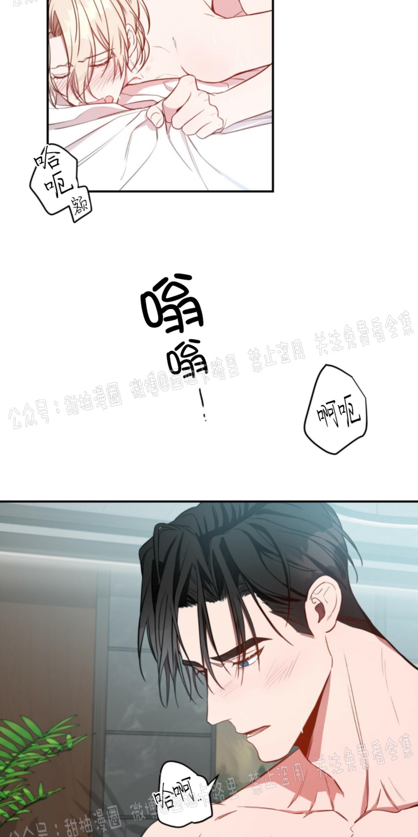 大苹果/纽约城[耽美]韩漫全集-第14话无删减无遮挡章节图片 