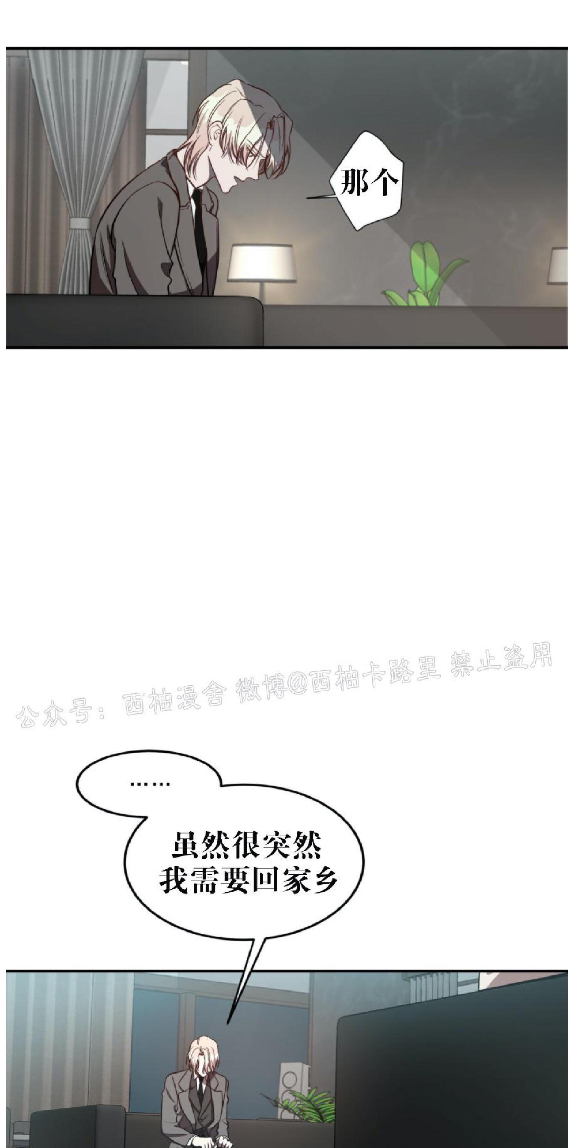 大苹果/纽约城[耽美]韩漫全集-第16话无删减无遮挡章节图片 