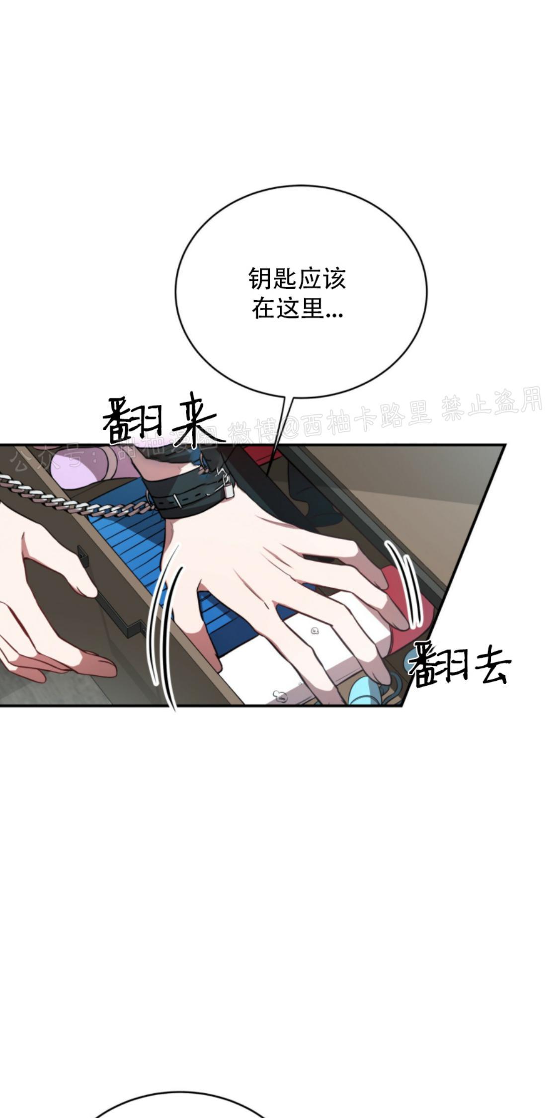 大苹果/纽约城[耽美]韩漫全集-第17话无删减无遮挡章节图片 