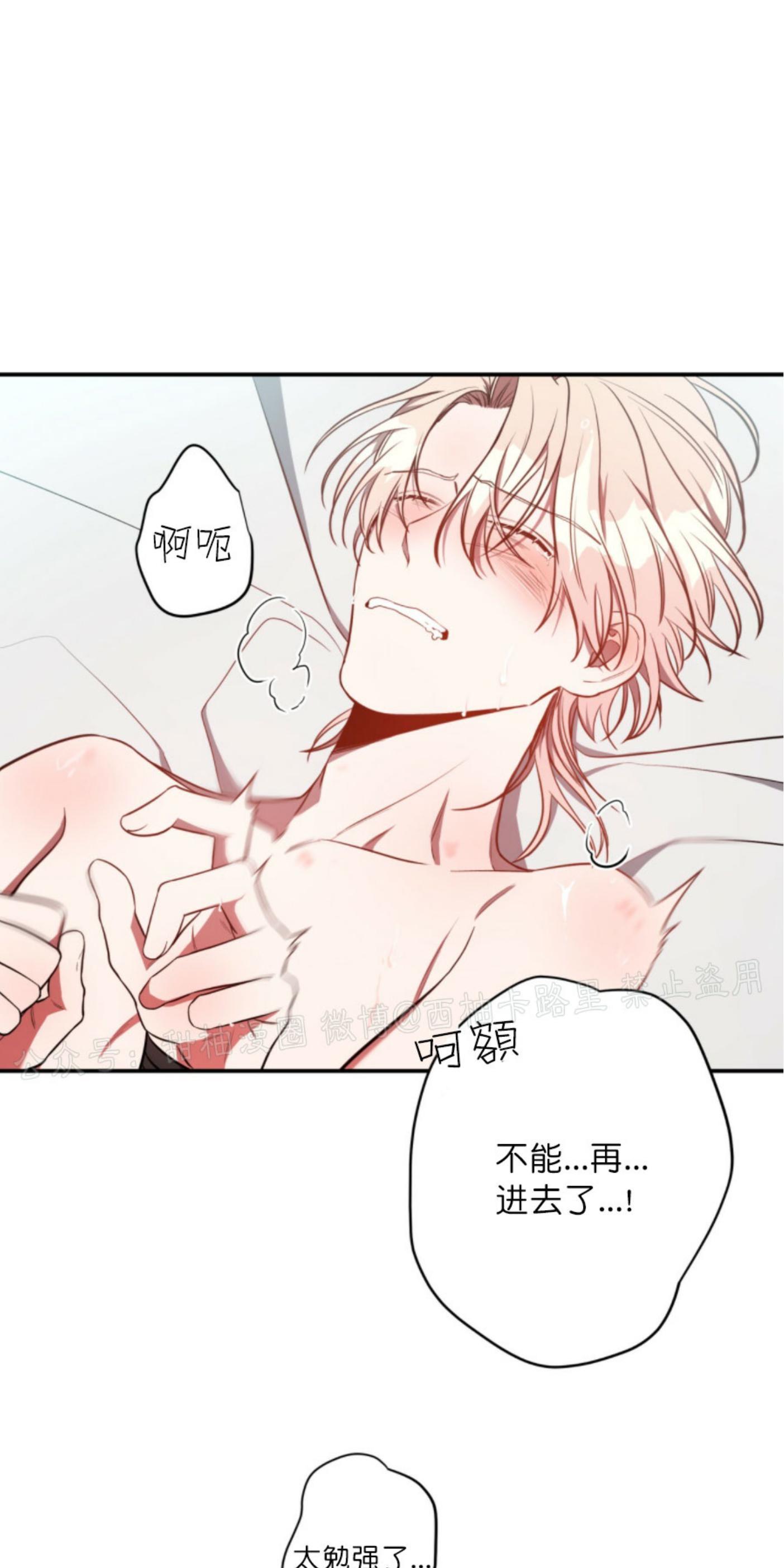 大苹果/纽约城[耽美]韩漫全集-第18话无删减无遮挡章节图片 