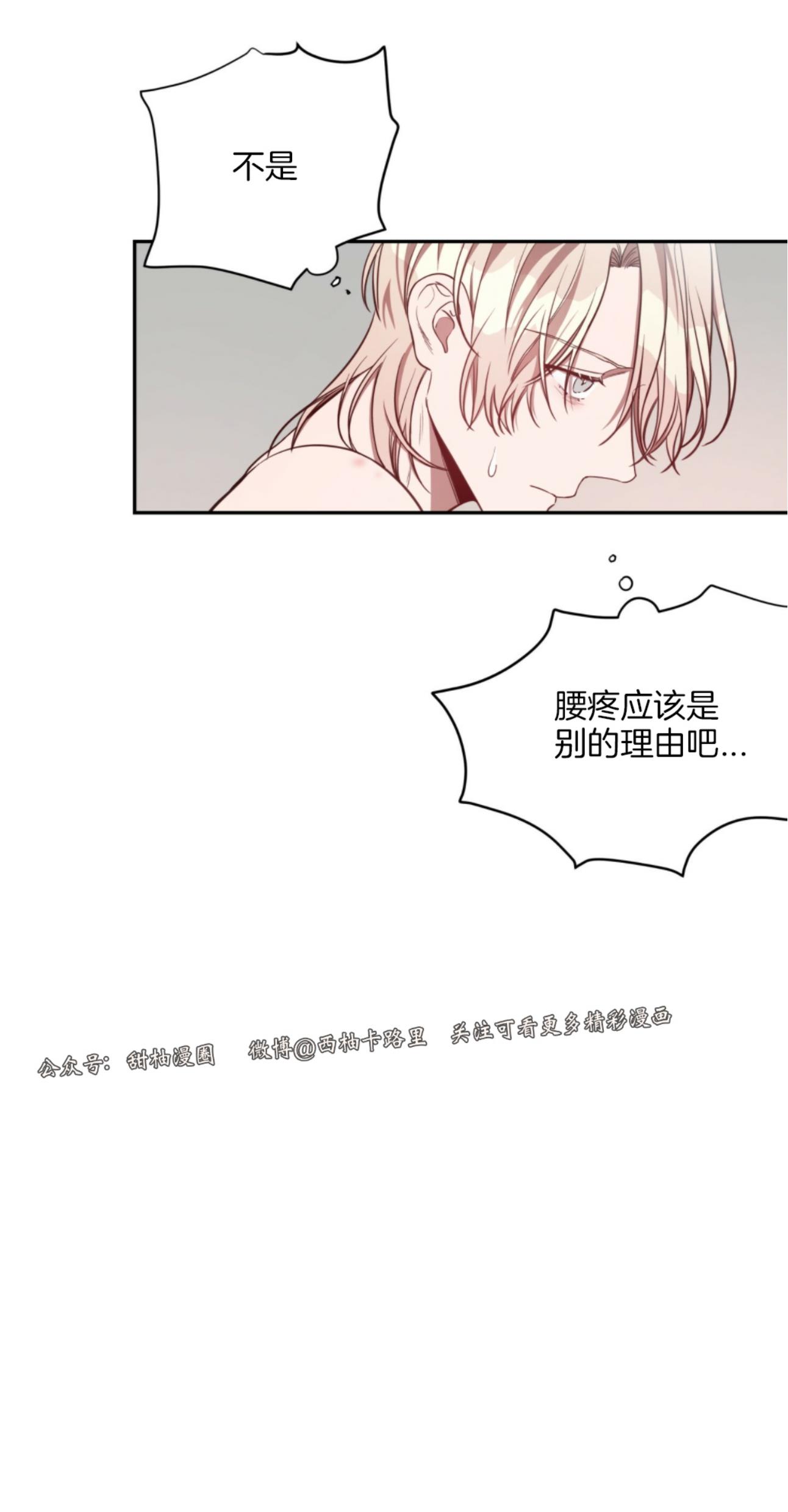 大苹果/纽约城[耽美]韩漫全集-第19话无删减无遮挡章节图片 
