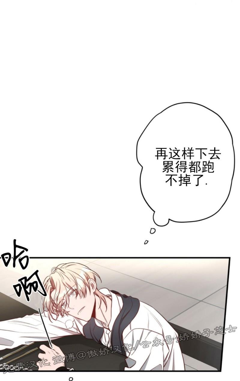 大苹果/纽约城[耽美]韩漫全集-第23话无删减无遮挡章节图片 