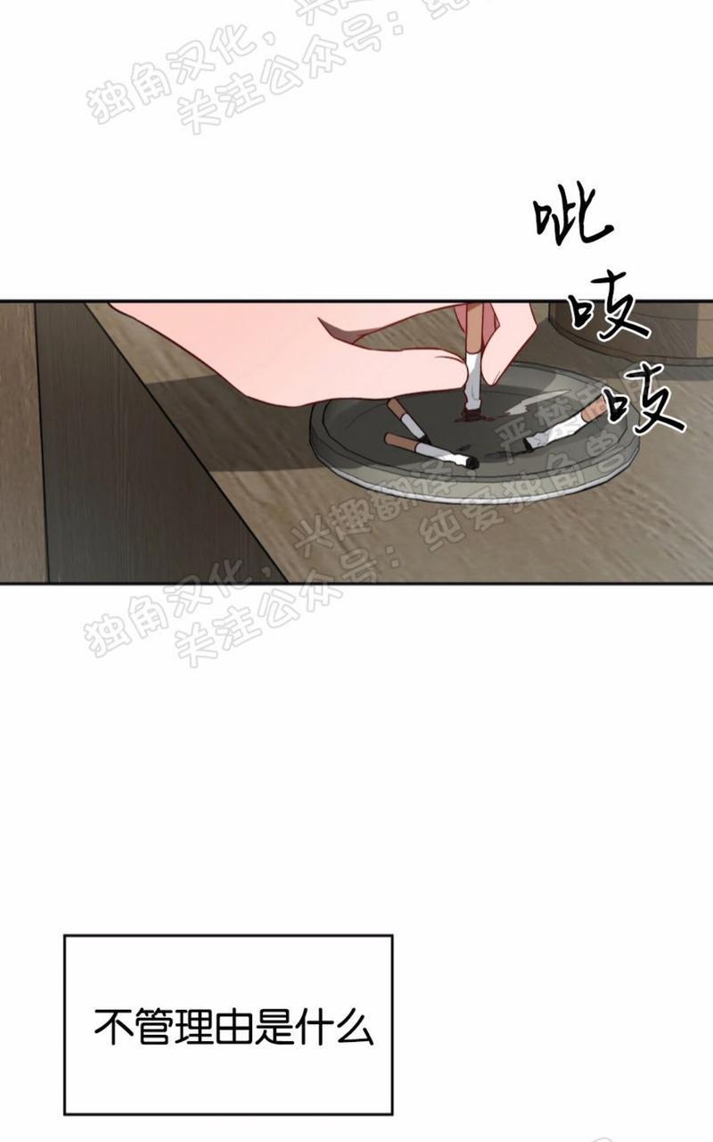 大苹果/纽约城[耽美]韩漫全集-第28话无删减无遮挡章节图片 