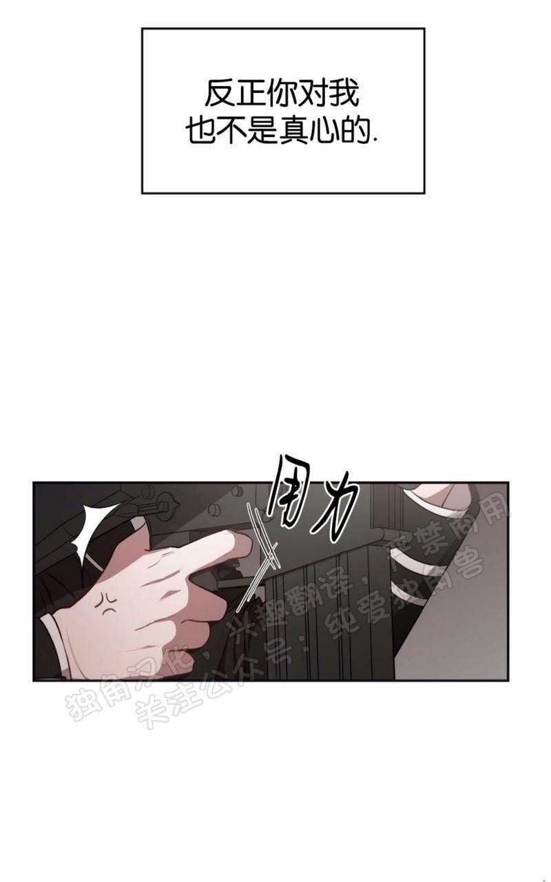 大苹果/纽约城[耽美]韩漫全集-第28话无删减无遮挡章节图片 