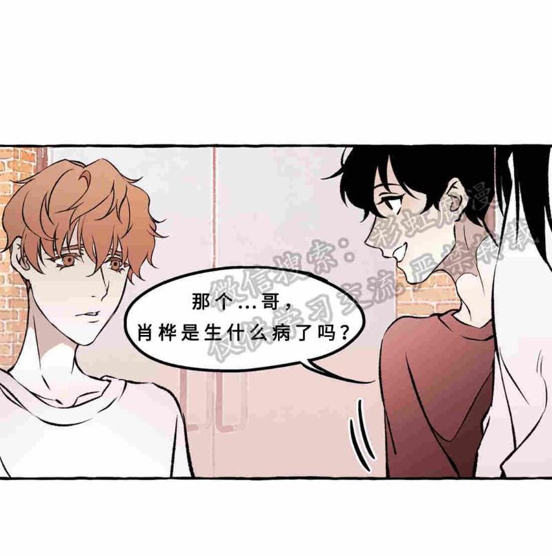 异类/Dispar/异质[耽美]韩漫全集-第13话无删减无遮挡章节图片 