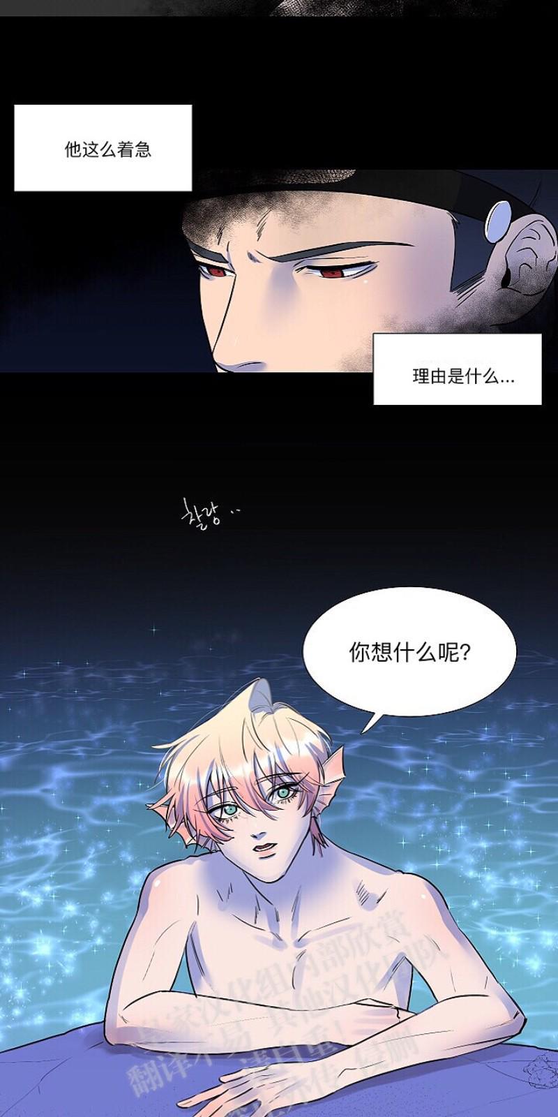人鱼传说/泅水之箭/游箭[耽美]韩漫全集-第7话无删减无遮挡章节图片 