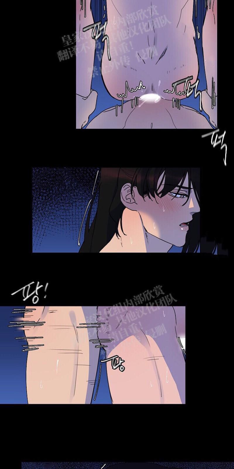 人鱼传说/泅水之箭/游箭[耽美]韩漫全集-第13话无删减无遮挡章节图片 