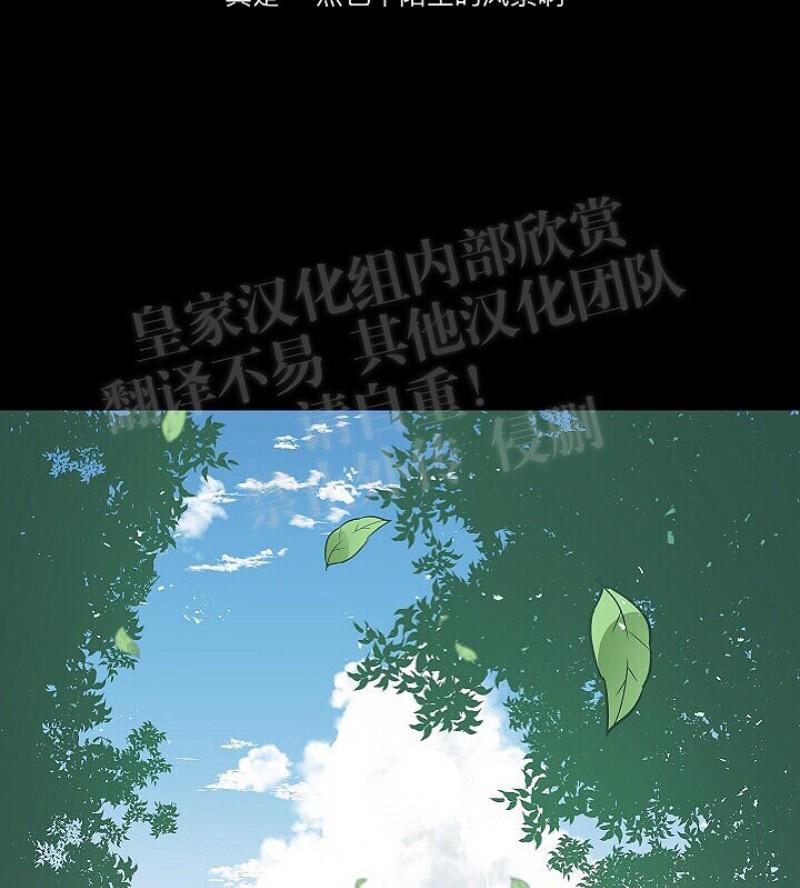 人鱼传说/泅水之箭/游箭[耽美]韩漫全集-第14话无删减无遮挡章节图片 