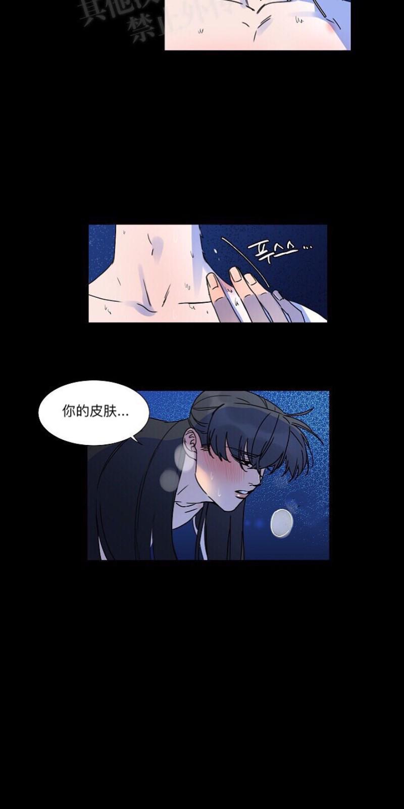 人鱼传说/泅水之箭/游箭[耽美]韩漫全集-第19话无删减无遮挡章节图片 