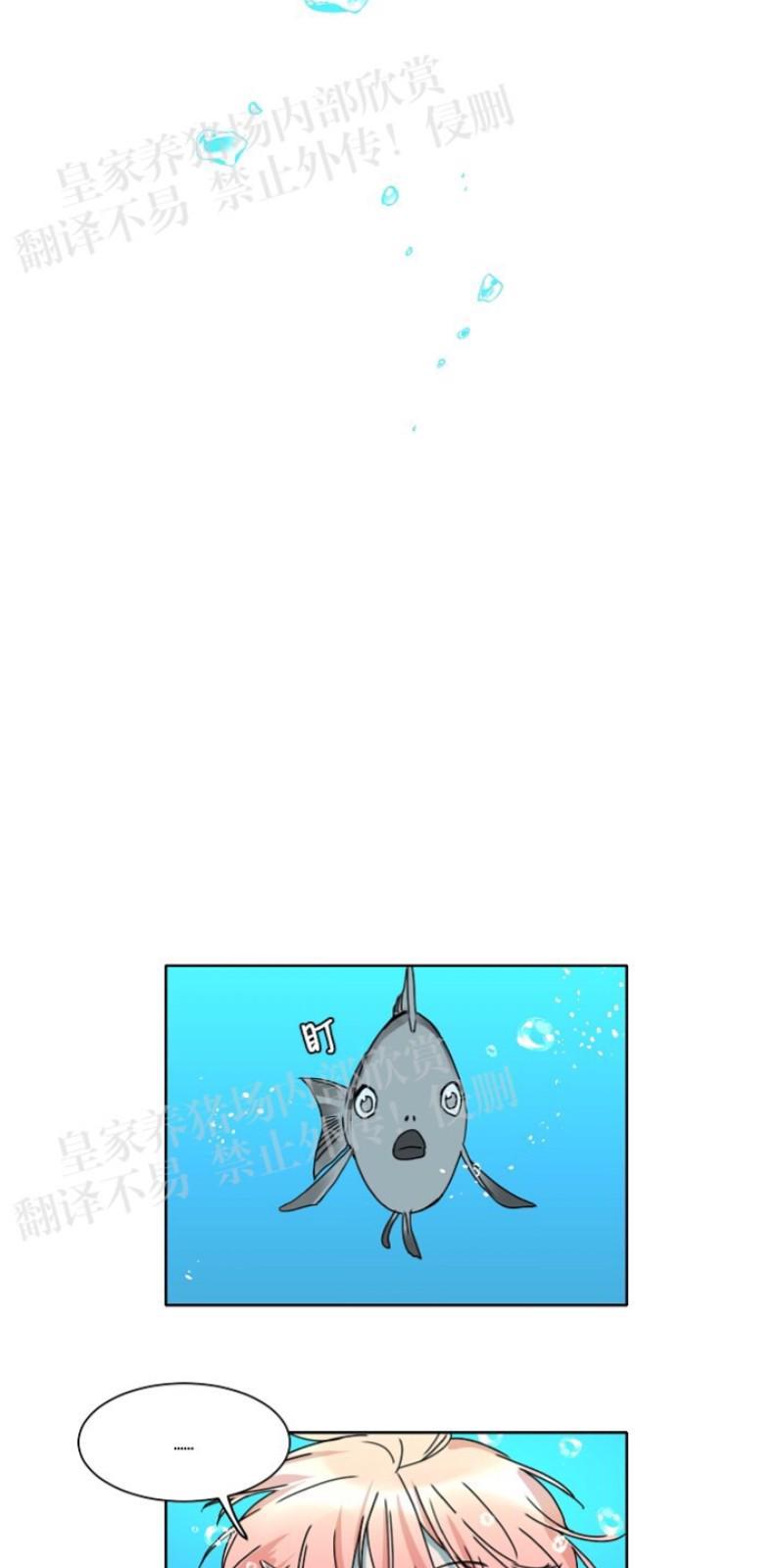 人鱼传说/泅水之箭/游箭[耽美]韩漫全集-第23话无删减无遮挡章节图片 