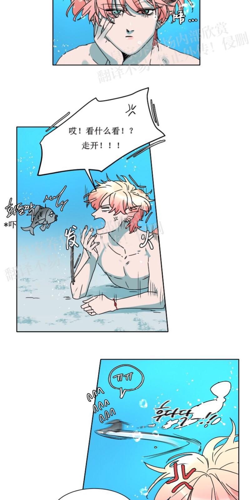 人鱼传说/泅水之箭/游箭[耽美]韩漫全集-第23话无删减无遮挡章节图片 