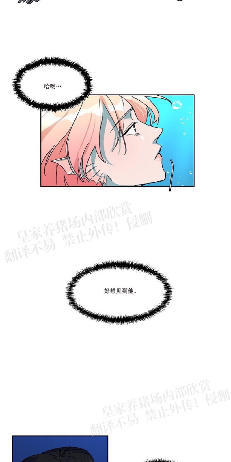 人鱼传说/泅水之箭/游箭[耽美]韩漫全集-第23话无删减无遮挡章节图片 