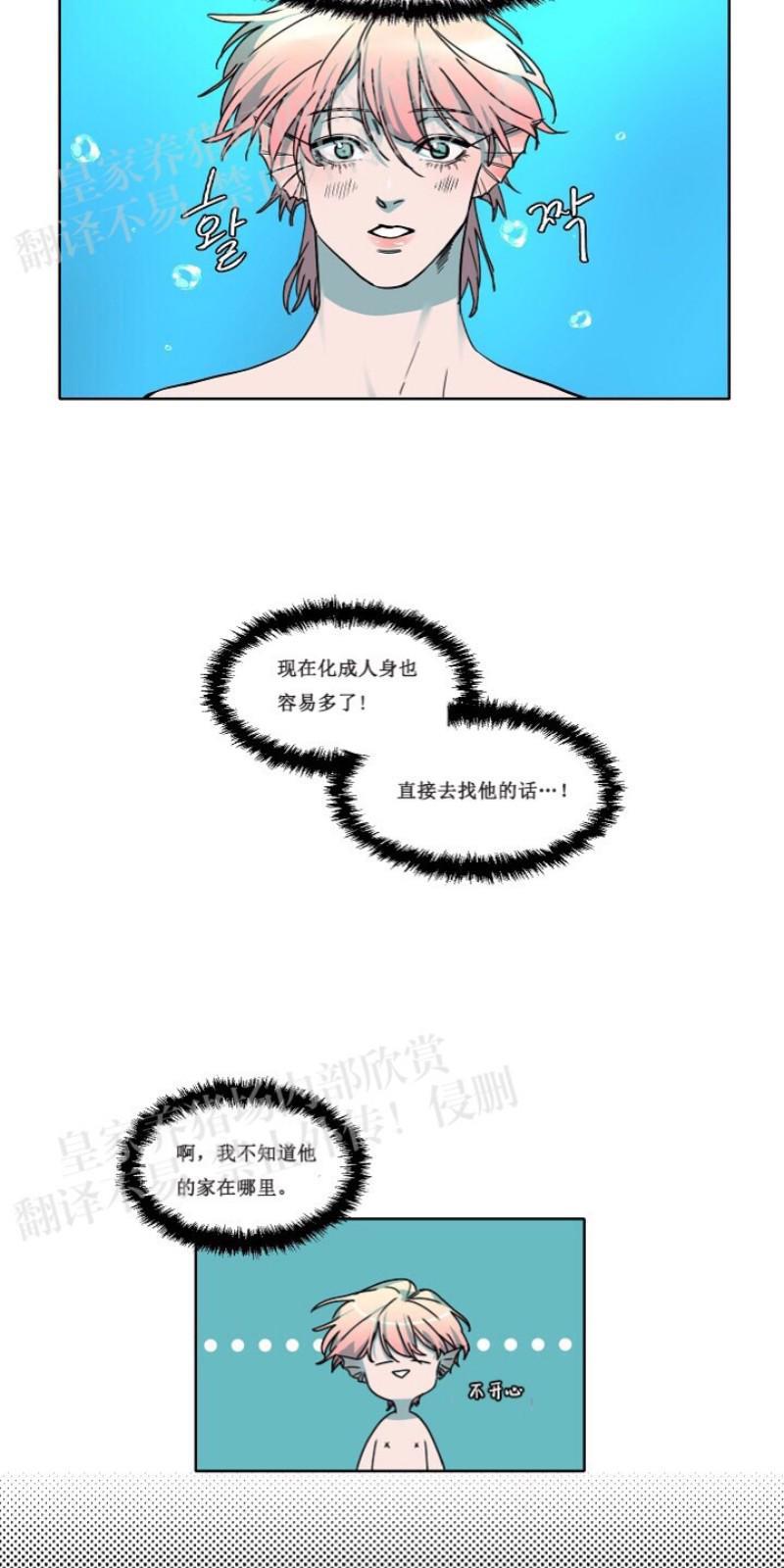 人鱼传说/泅水之箭/游箭[耽美]韩漫全集-第23话无删减无遮挡章节图片 