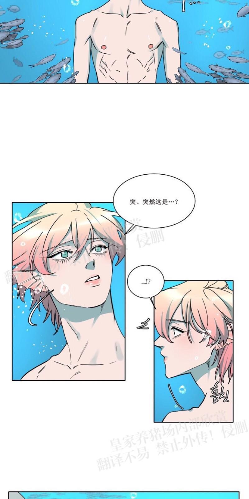人鱼传说/泅水之箭/游箭[耽美]韩漫全集-第23话无删减无遮挡章节图片 