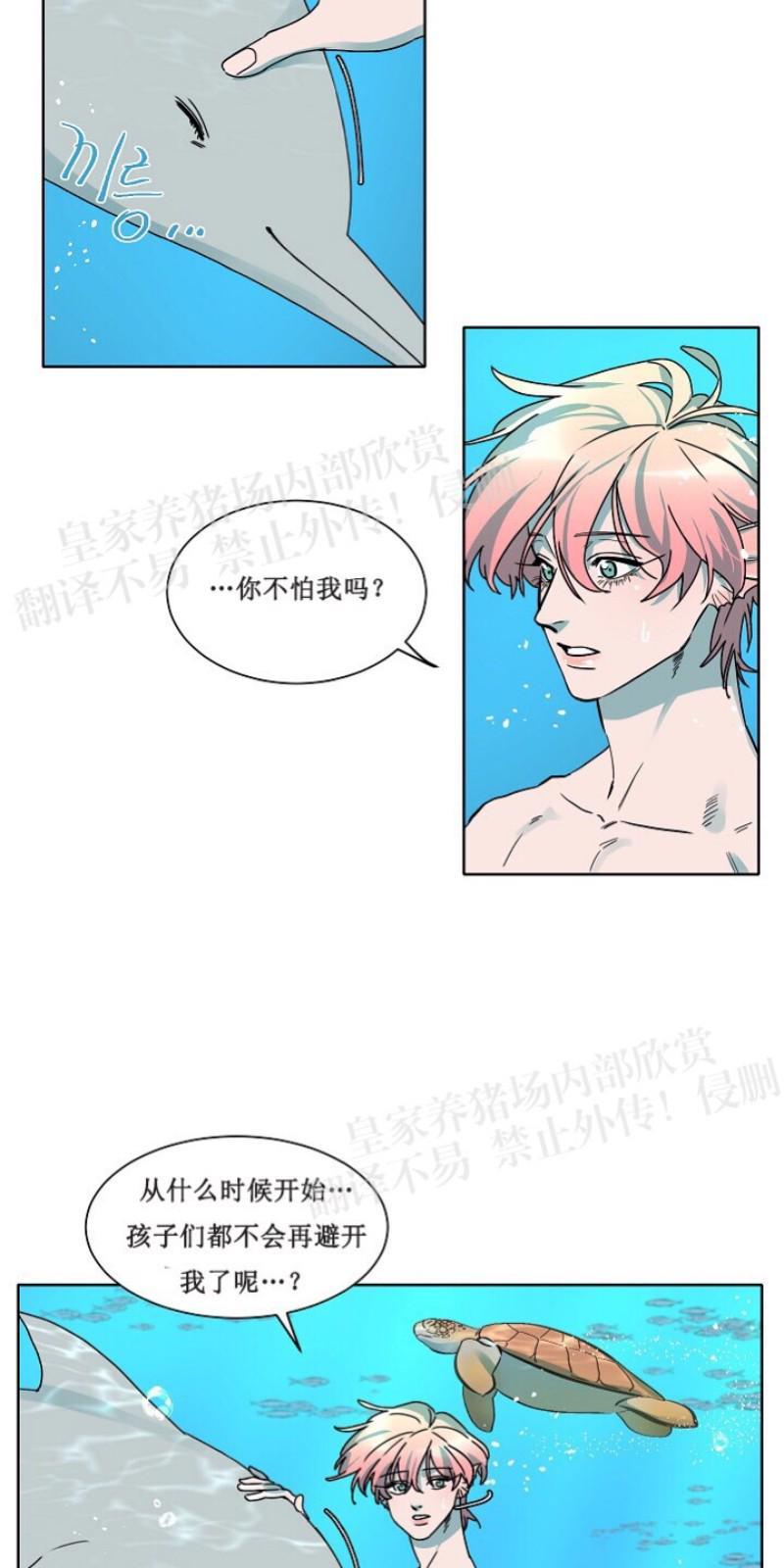 人鱼传说/泅水之箭/游箭[耽美]韩漫全集-第23话无删减无遮挡章节图片 
