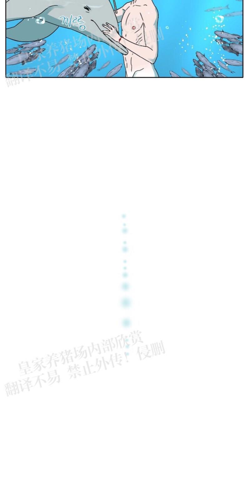 人鱼传说/泅水之箭/游箭[耽美]韩漫全集-第23话无删减无遮挡章节图片 
