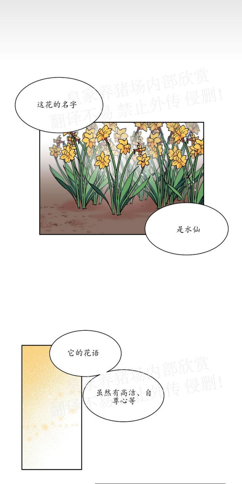 人鱼传说/泅水之箭/游箭[耽美]韩漫全集-第29话无删减无遮挡章节图片 