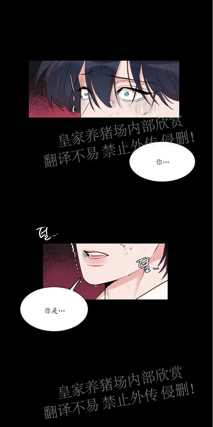 人鱼传说/泅水之箭/游箭[耽美]韩漫全集-第34话无删减无遮挡章节图片 