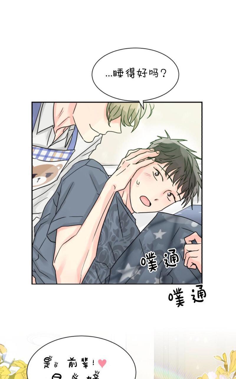 营业部的丘比特[耽美]韩漫全集-第17话无删减无遮挡章节图片 