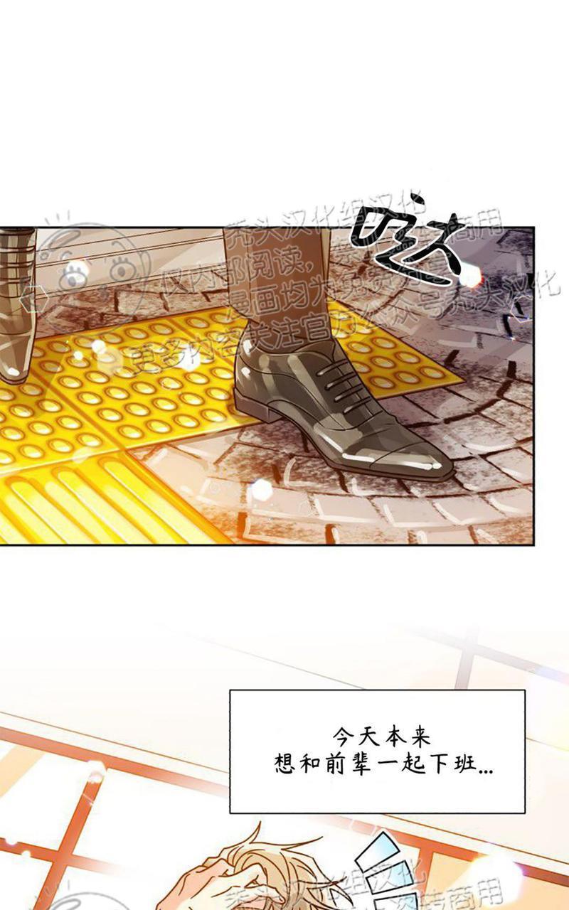营业部的丘比特[耽美]韩漫全集-第23话无删减无遮挡章节图片 