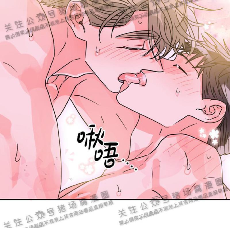营业部的丘比特[耽美]韩漫全集-第26话无删减无遮挡章节图片 