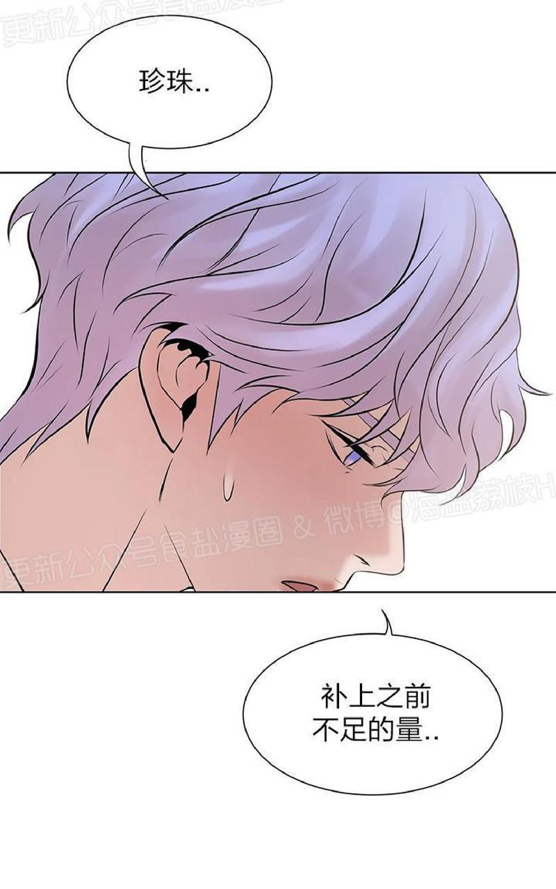 贝壳少年/珍珠少年[耽美]韩漫全集-第6话无删减无遮挡章节图片 