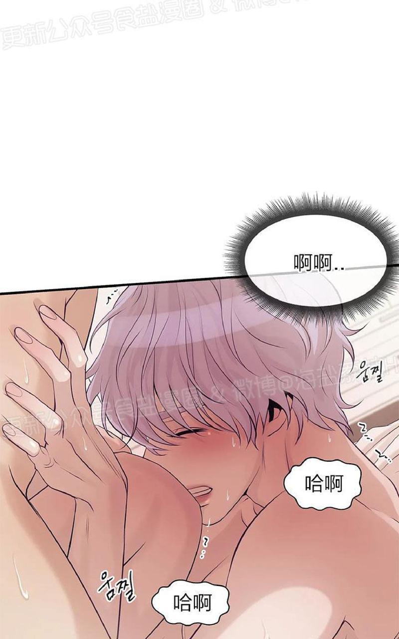 贝壳少年/珍珠少年[耽美]韩漫全集-第12话无删减无遮挡章节图片 