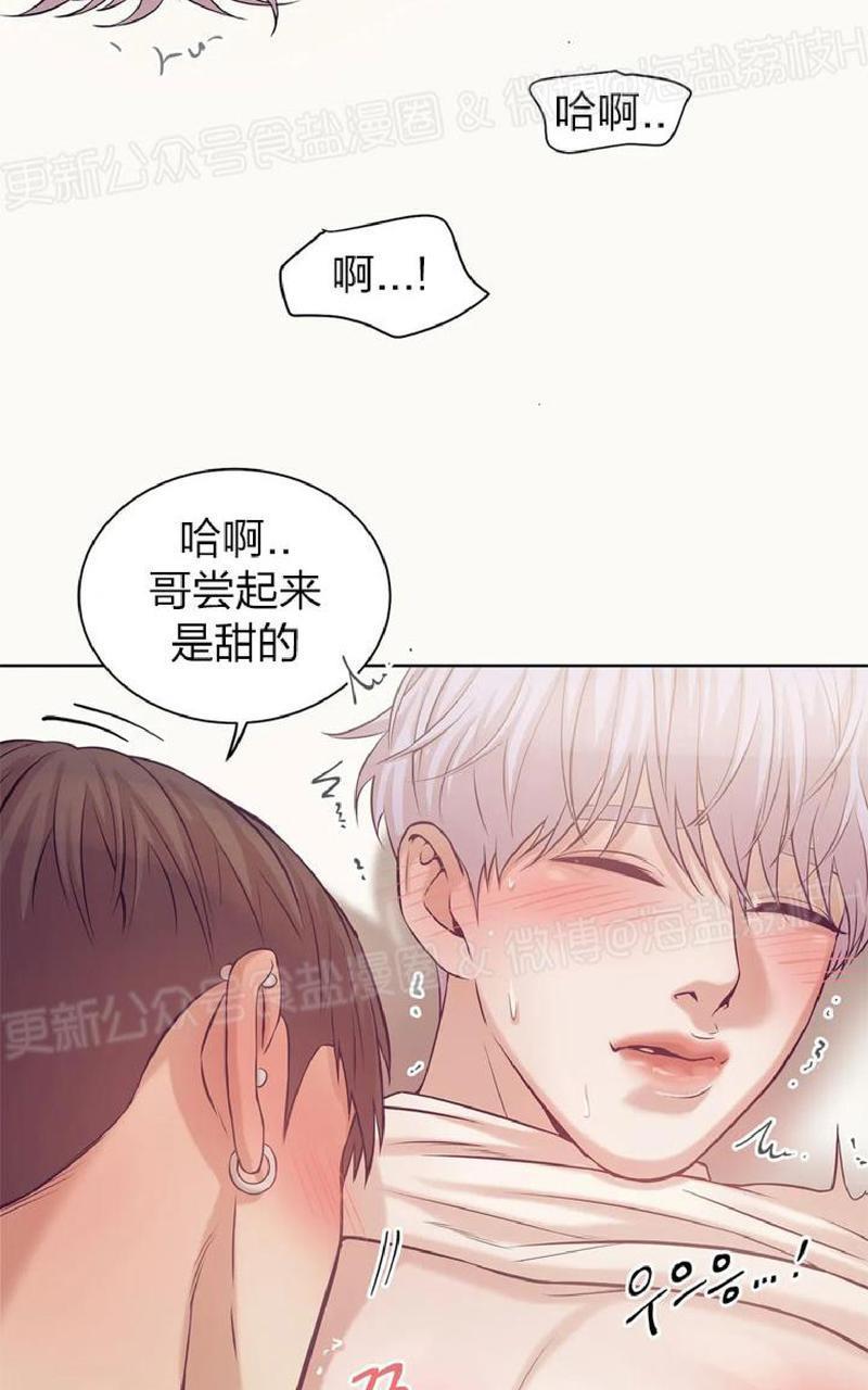 贝壳少年/珍珠少年[耽美]韩漫全集-第15话无删减无遮挡章节图片 