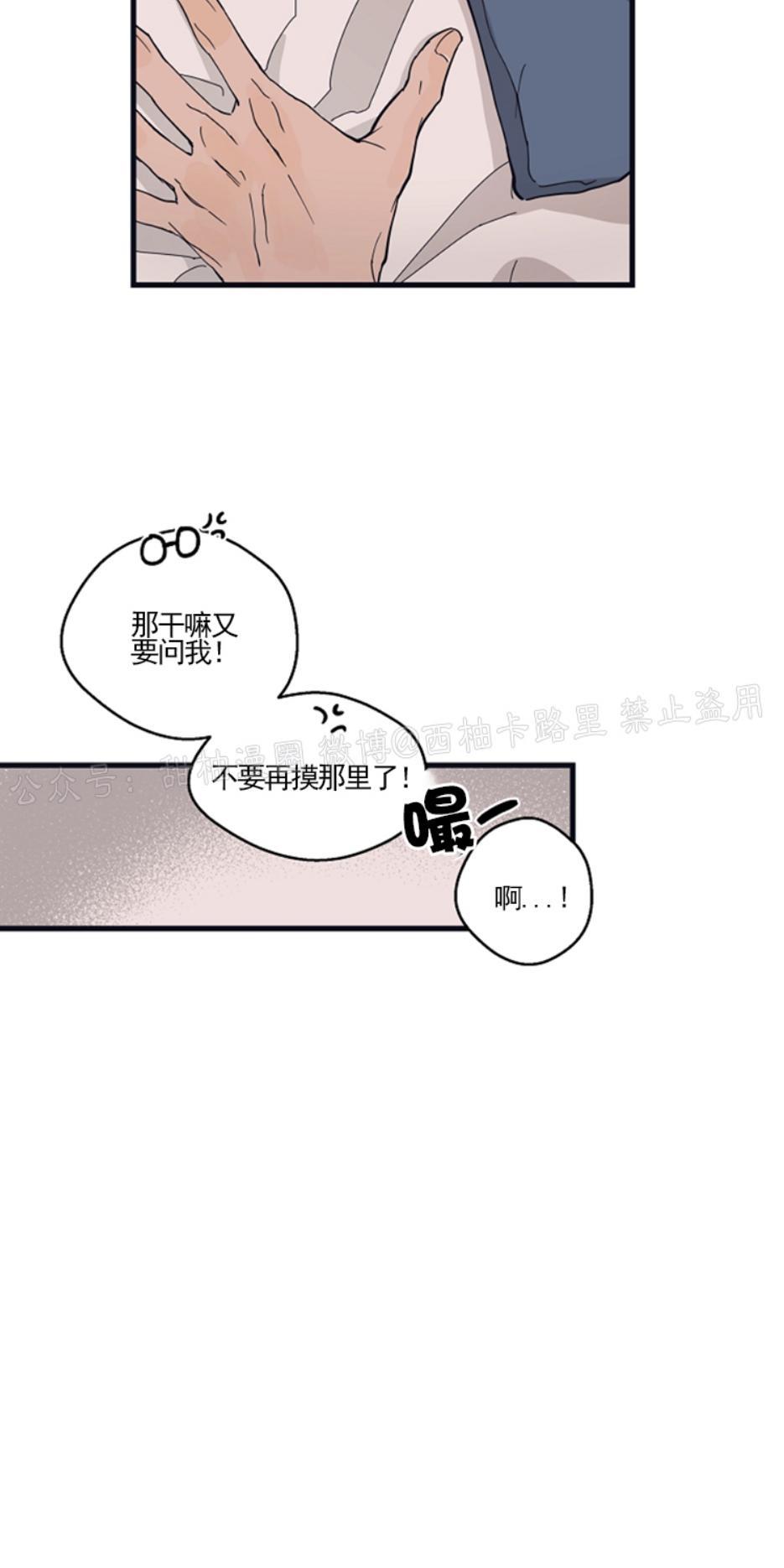 T台走红[耽美]韩漫全集-第13话无删减无遮挡章节图片 