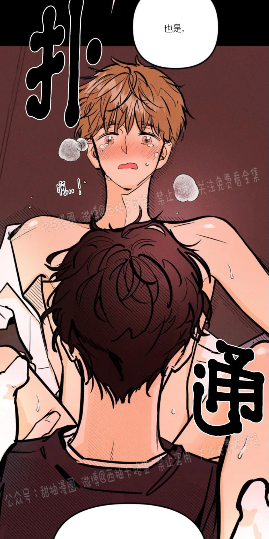 PunkDunkFunk/爵士X朋克[耽美]韩漫全集-第1话无删减无遮挡章节图片 