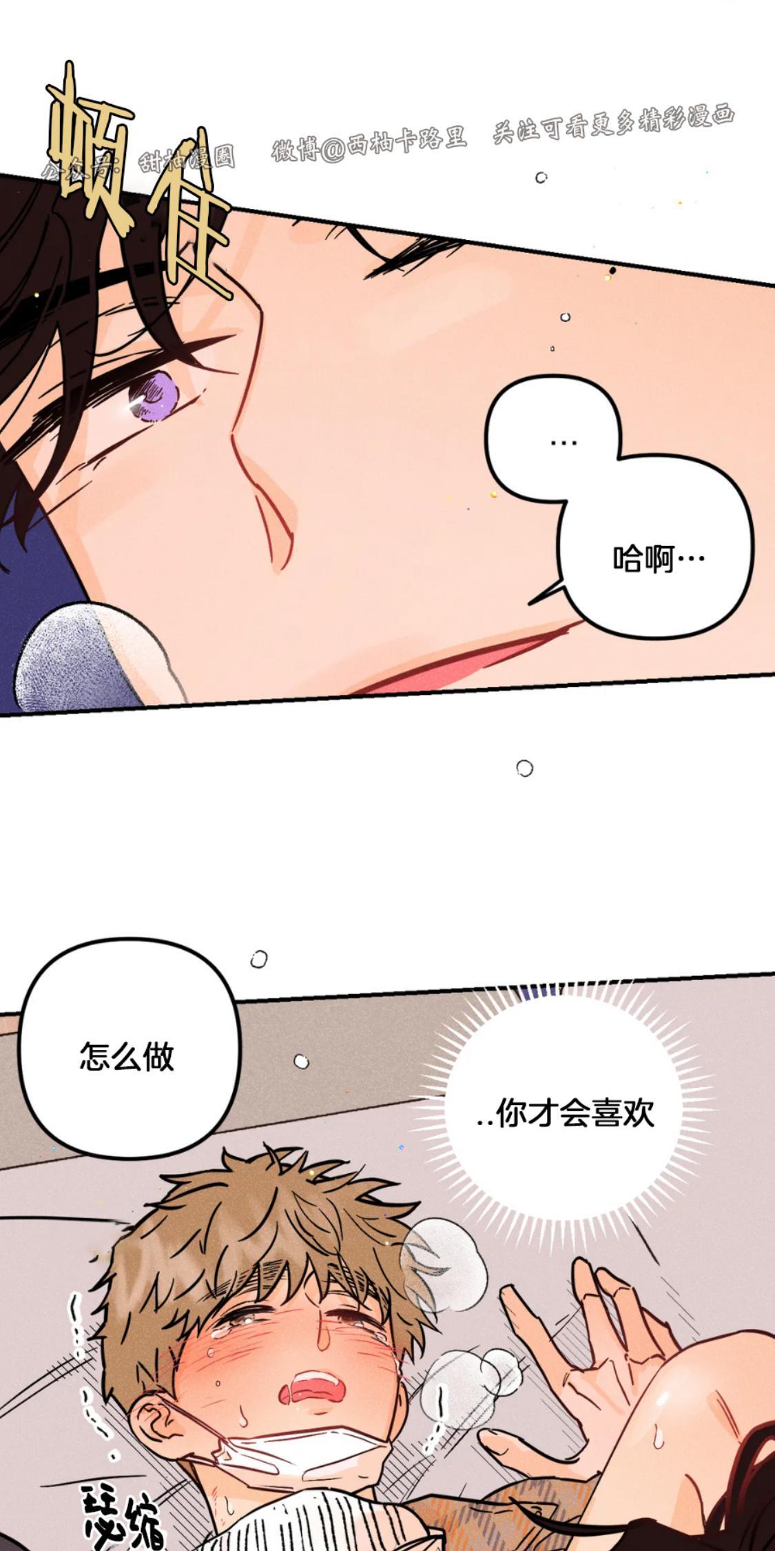 PunkDunkFunk/爵士X朋克[耽美]韩漫全集-第20话无删减无遮挡章节图片 