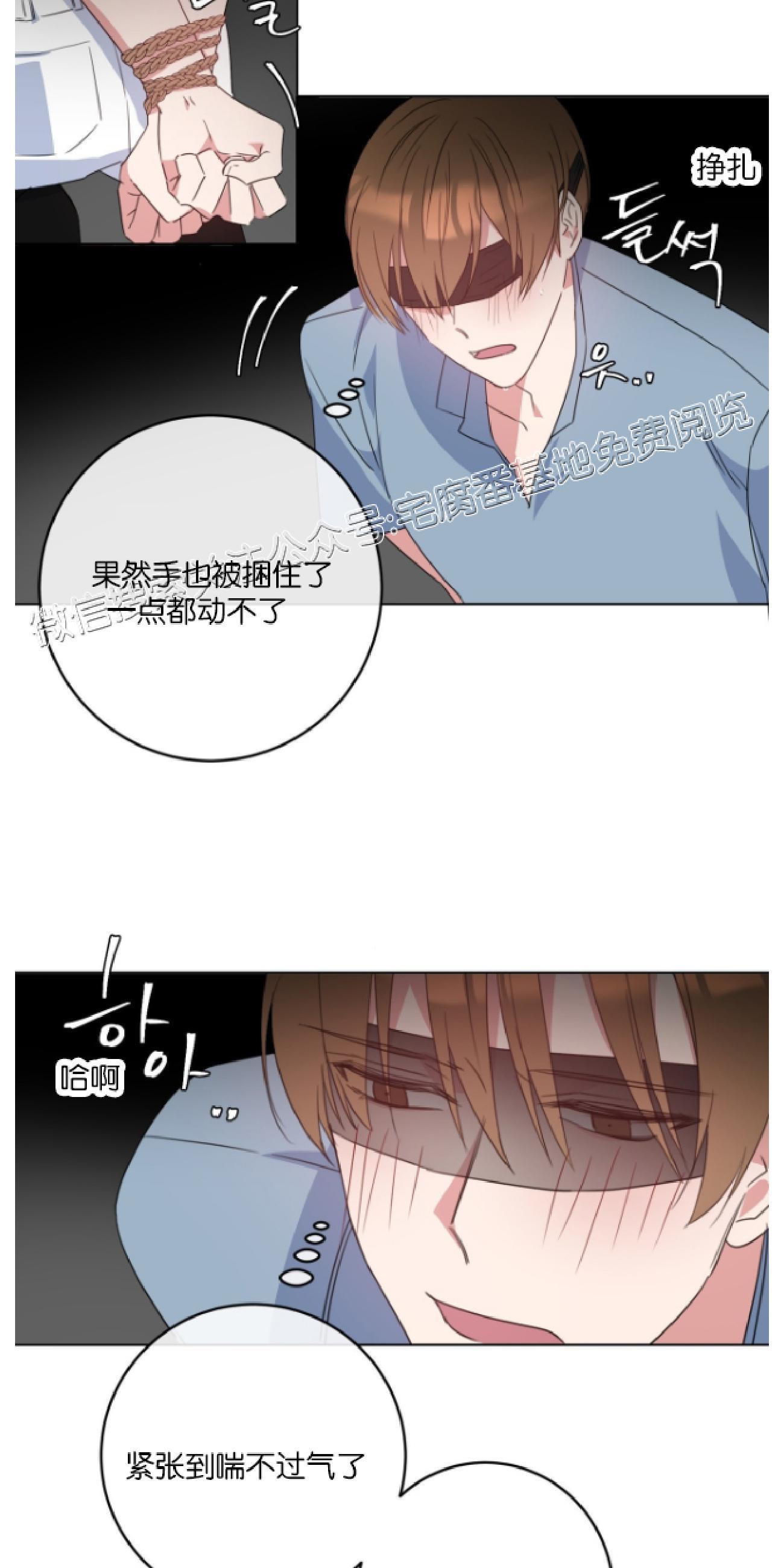 危险合作/Mayday/五月交易[耽美]韩漫全集-第4话无删减无遮挡章节图片 