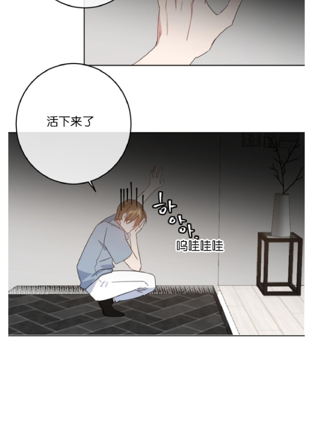 危险合作/Mayday/五月交易[耽美]韩漫全集-第5话无删减无遮挡章节图片 
