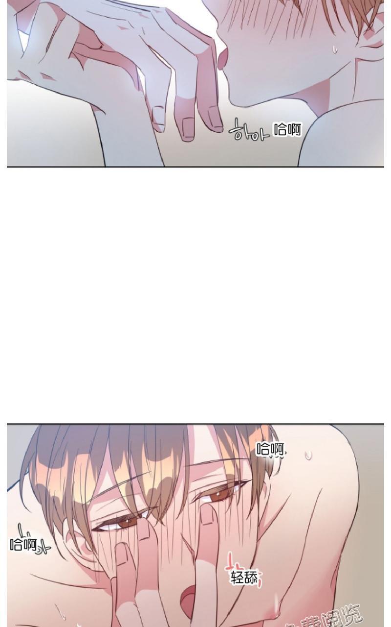 危险合作/Mayday/五月交易[耽美]韩漫全集-第15话无删减无遮挡章节图片 