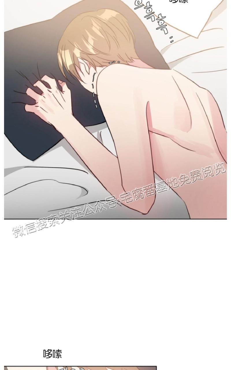 危险合作/Mayday/五月交易[耽美]韩漫全集-第15话无删减无遮挡章节图片 