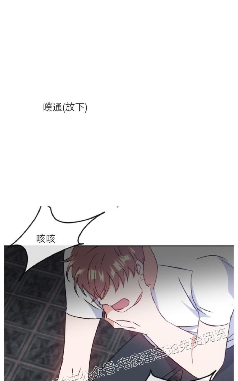 危险合作/Mayday/五月交易[耽美]韩漫全集-第19话无删减无遮挡章节图片 